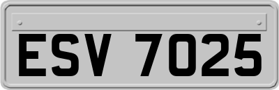 ESV7025