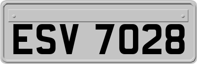ESV7028