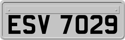ESV7029