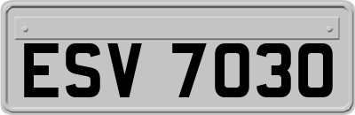 ESV7030