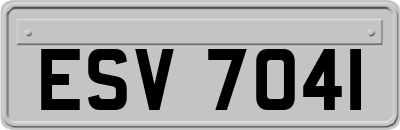 ESV7041