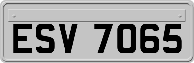 ESV7065