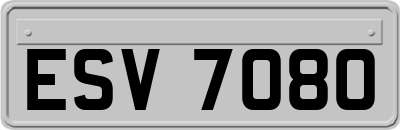 ESV7080