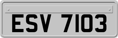 ESV7103