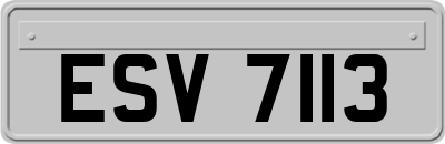 ESV7113