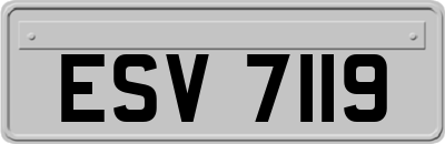 ESV7119