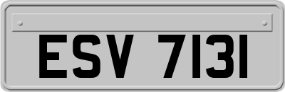ESV7131