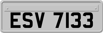ESV7133