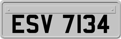 ESV7134