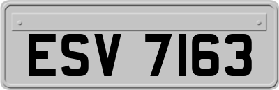 ESV7163