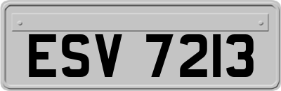 ESV7213