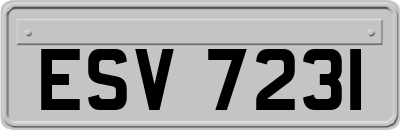 ESV7231