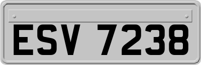 ESV7238