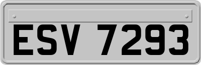 ESV7293