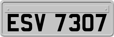 ESV7307