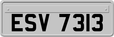 ESV7313