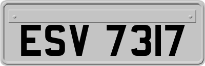 ESV7317