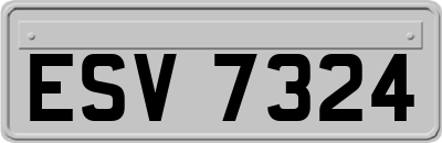 ESV7324