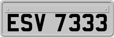 ESV7333