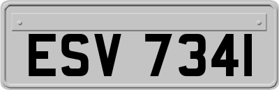 ESV7341
