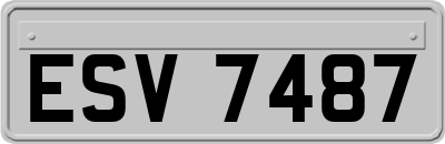 ESV7487