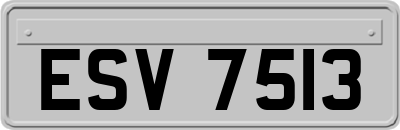 ESV7513