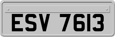 ESV7613