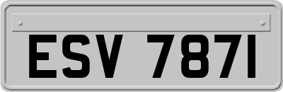 ESV7871