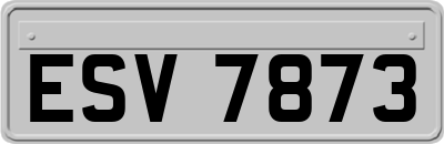 ESV7873