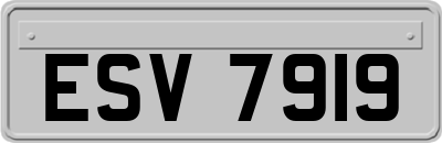 ESV7919