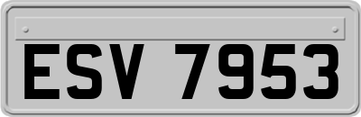 ESV7953