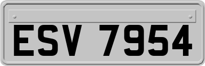 ESV7954