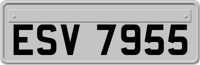 ESV7955