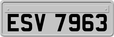 ESV7963