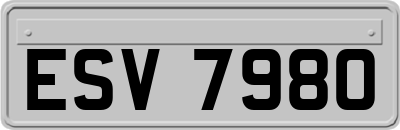 ESV7980