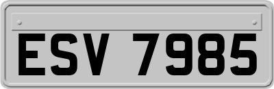 ESV7985