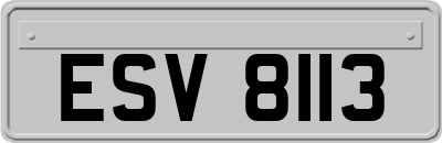 ESV8113