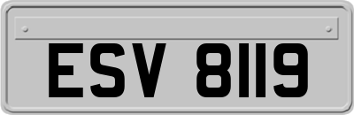 ESV8119