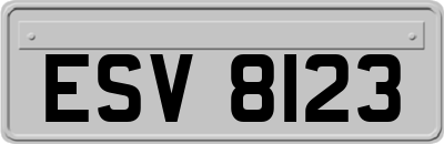 ESV8123