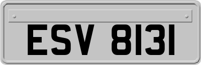 ESV8131