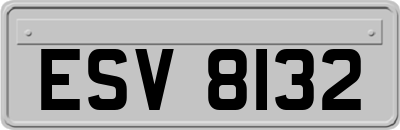 ESV8132
