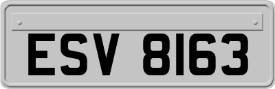 ESV8163