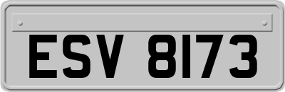 ESV8173