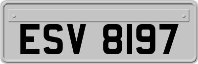 ESV8197