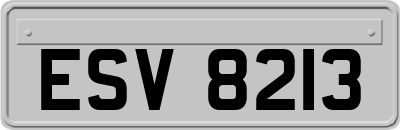 ESV8213