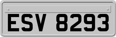 ESV8293