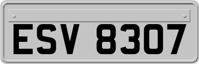ESV8307