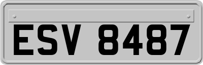 ESV8487