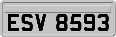 ESV8593