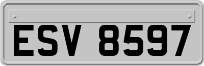 ESV8597
